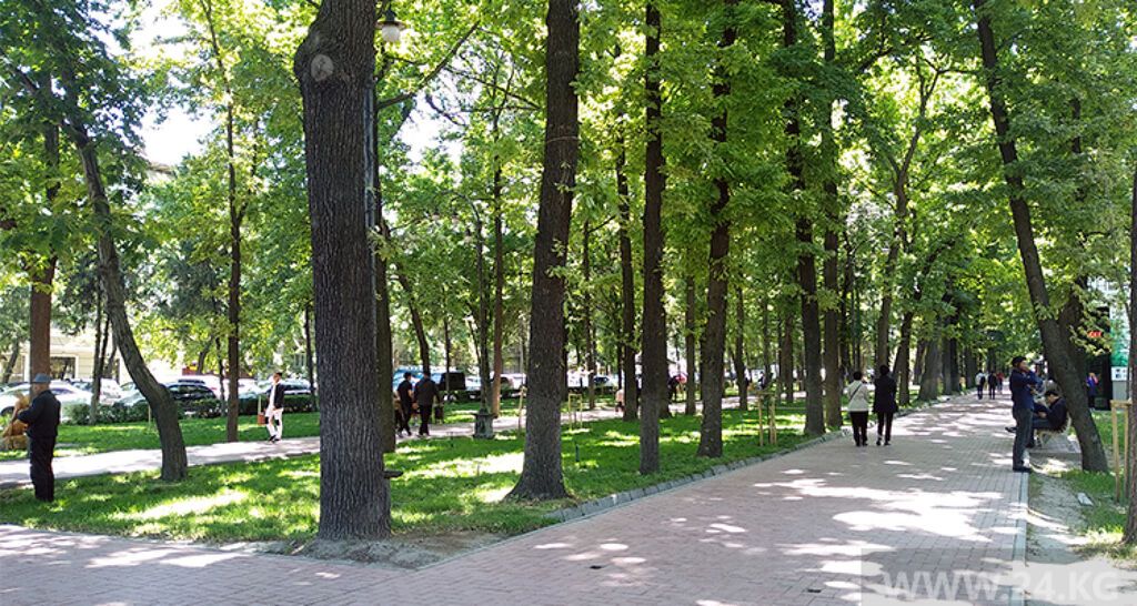 3 комнаты, 75 м², 1 этаж - фото 1